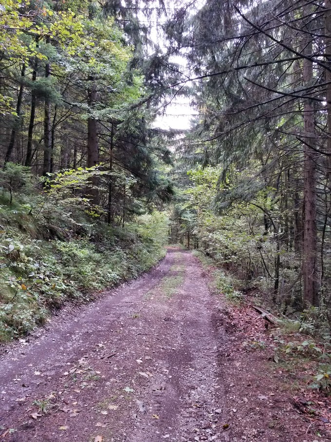 lh6.googleusercontent.com_-fsb8-agxfpi_vijboctfbfi_aaaaaaaaoyq_ampspg46fpi_w680-h907-no_20151017_130728_richtone_2528hdr_2529.jpg lh6.googleusercontent.com_-fsb8-agxfpi_vijboctfbfi_aaaaaaaaoyq_ampspg46fpi_w680-h907-no_20151017_130728_richtone_2528hdr_2529.jpg