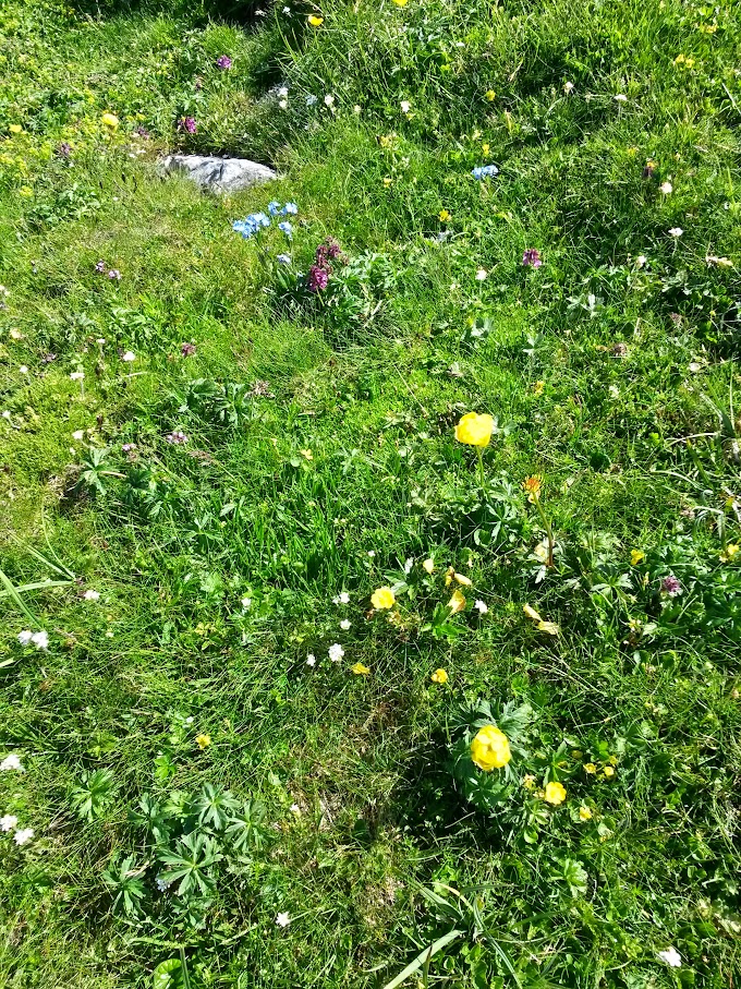 lh4.googleusercontent.com_-fz16hwpn8iu_vzflytjzsei_aaaaaaaamey_f3tvtga1yqo_w680-h907-no_20150704_100424_richtone_2528hdr_2529.jpg lh4.googleusercontent.com_-fz16hwpn8iu_vzflytjzsei_aaaaaaaamey_f3tvtga1yqo_w680-h907-no_20150704_100424_richtone_2528hdr_2529.jpg