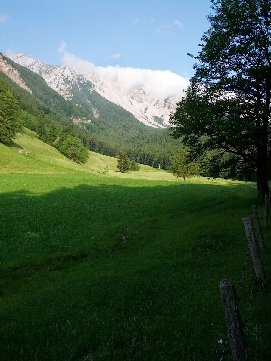 lh6.googleusercontent.com_-urzf7flnv64_ucwmtu9njii_aaaaaaaan2c_kfc8gmo17gk_w900-h1200-no_img_20130622_072850.jpg lh6.googleusercontent.com_-urzf7flnv64_ucwmtu9njii_aaaaaaaan2c_kfc8gmo17gk_w900-h1200-no_img_20130622_072850.jpg