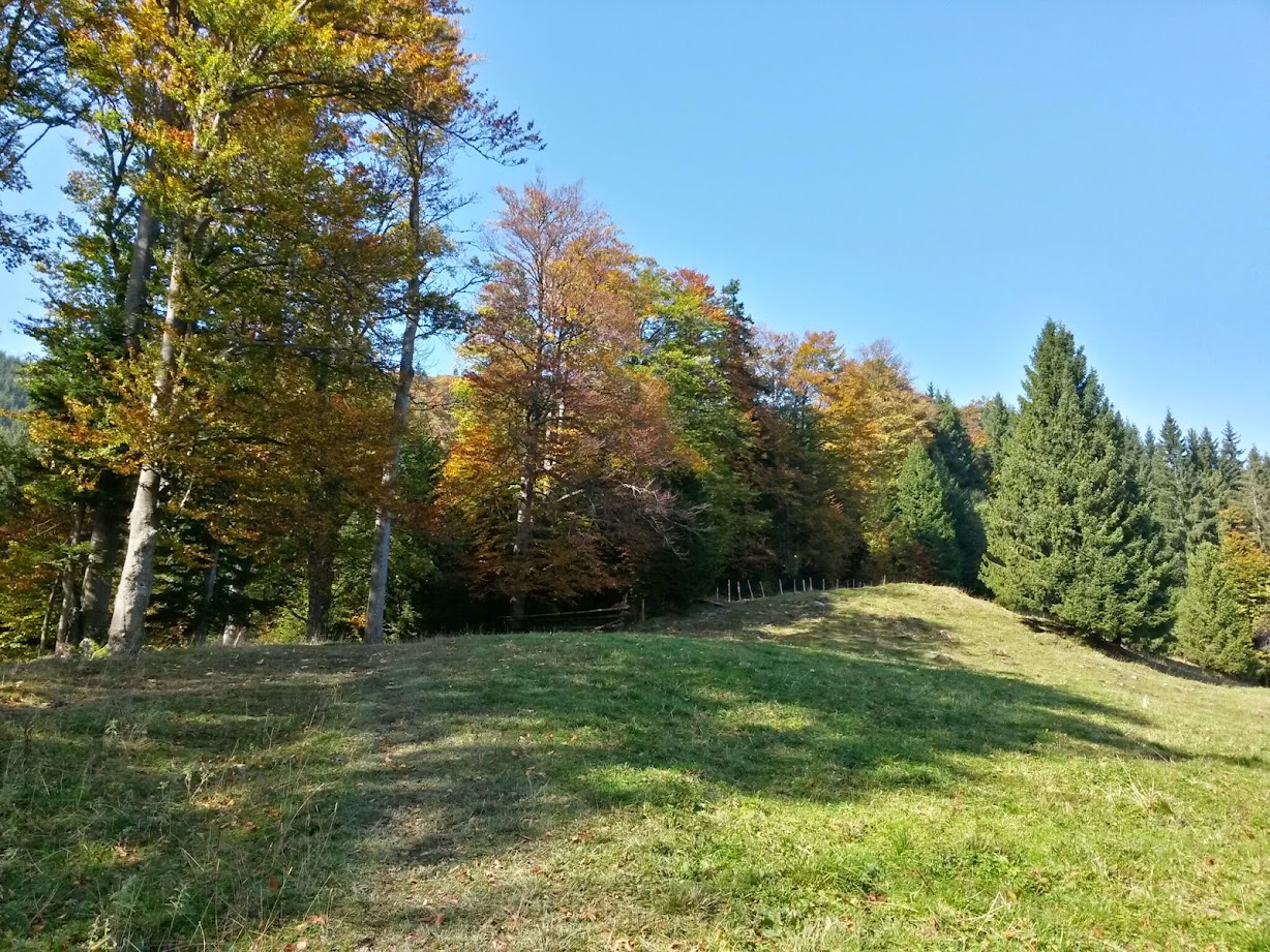 lh5.googleusercontent.com_-nsxwoaeftha_vdbbd0fre8i_aaaaaaaad_a_pkd6zzvc1oe_w1228-h921-no_20141004_112545_richtone_28hdr_29.jpg lh5.googleusercontent.com_-nsxwoaeftha_vdbbd0fre8i_aaaaaaaad_a_pkd6zzvc1oe_w1228-h921-no_20141004_112545_richtone_28hdr_29.jpg