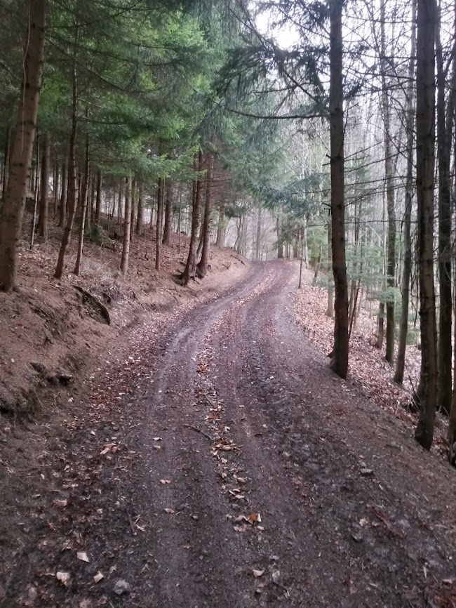 lh5.googleusercontent.com_-hkdx3xkxakc_uuz2igzumii_aaaaaaaau54_5vbenv9kncm_w650-h866-no_20140201_095326_richtone_2528hdr_2529.jpg lh5.googleusercontent.com_-hkdx3xkxakc_uuz2igzumii_aaaaaaaau54_5vbenv9kncm_w650-h866-no_20140201_095326_richtone_2528hdr_2529.jpg