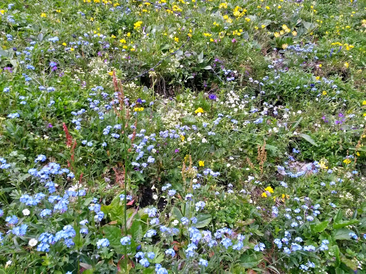 lh4.googleusercontent.com_-bomuo_ecvk4_u7f9syvvh0i_aaaaaaaaa9y_nbust4yb9rq_w1239-h929-no_20140705_100324_richtone_2528hdr_2529.jpg lh4.googleusercontent.com_-bomuo_ecvk4_u7f9syvvh0i_aaaaaaaaa9y_nbust4yb9rq_w1239-h929-no_20140705_100324_richtone_2528hdr_2529.jpg