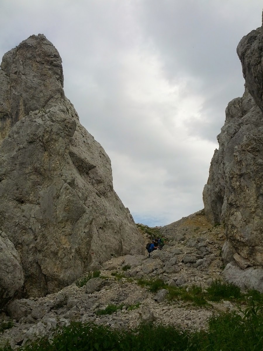 lh6.googleusercontent.com_-znacdij_9kk_ufukcqudobi_aaaaaaaaoyi_mabx3mcqlzq_w900-h1200-no_img_20130728_083916.jpg lh6.googleusercontent.com_-znacdij_9kk_ufukcqudobi_aaaaaaaaoyi_mabx3mcqlzq_w900-h1200-no_img_20130728_083916.jpg