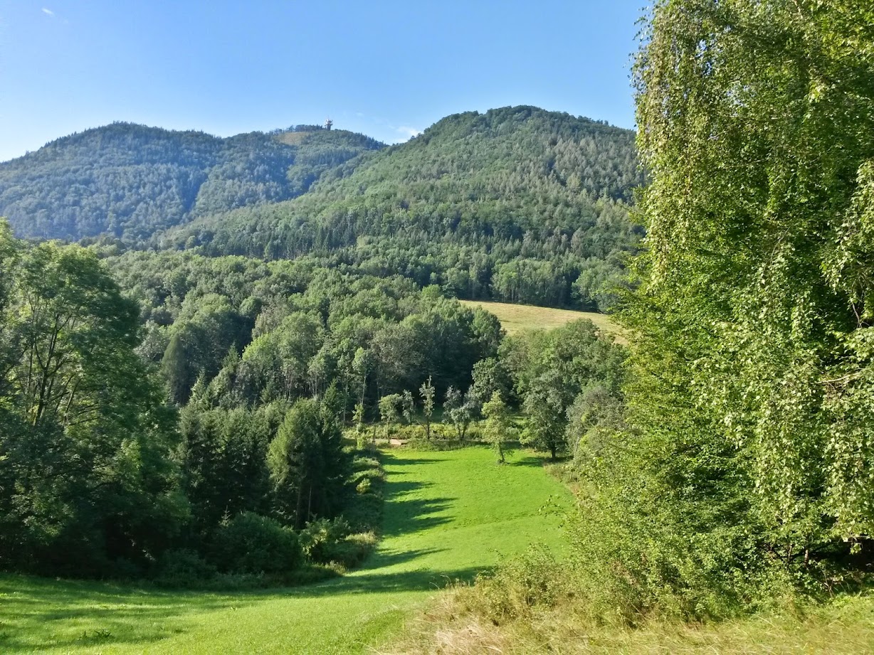 lh6.googleusercontent.com_-oxbqliepfvg_u9zyk4nem9i_aaaaaaaabem_6yvqbifwwva_w1228-h921-no_20140802_083237_richtone_28hdr_29.jpg lh6.googleusercontent.com_-oxbqliepfvg_u9zyk4nem9i_aaaaaaaabem_6yvqbifwwva_w1228-h921-no_20140802_083237_richtone_28hdr_29.jpg