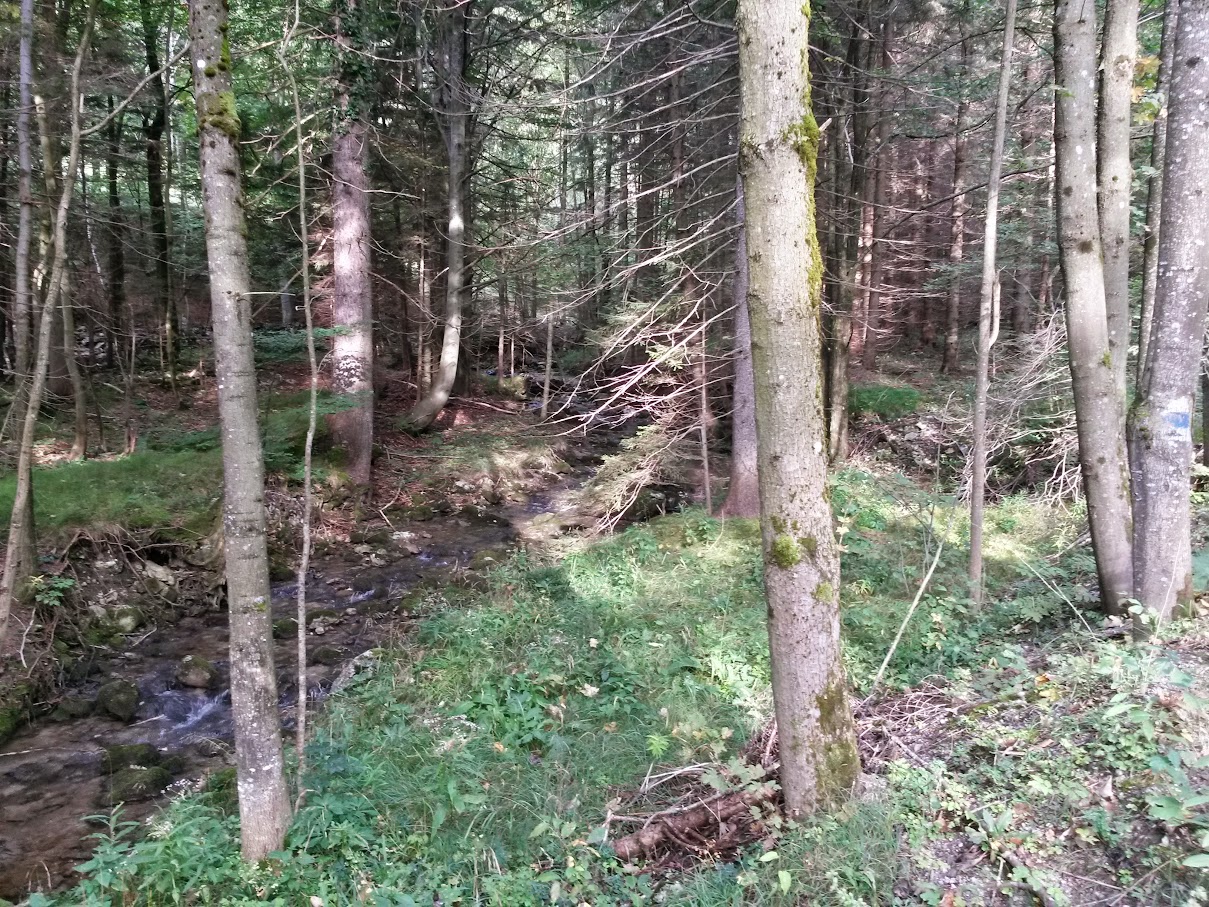 lh4.googleusercontent.com_-3mq23p0encg_vf14hamlq4i_aaaaaaaan6m_vyiakddr07y_w1209-h907-no_20150919_091438_richtone_2528hdr_2529.jpg lh4.googleusercontent.com_-3mq23p0encg_vf14hamlq4i_aaaaaaaan6m_vyiakddr07y_w1209-h907-no_20150919_091438_richtone_2528hdr_2529.jpg