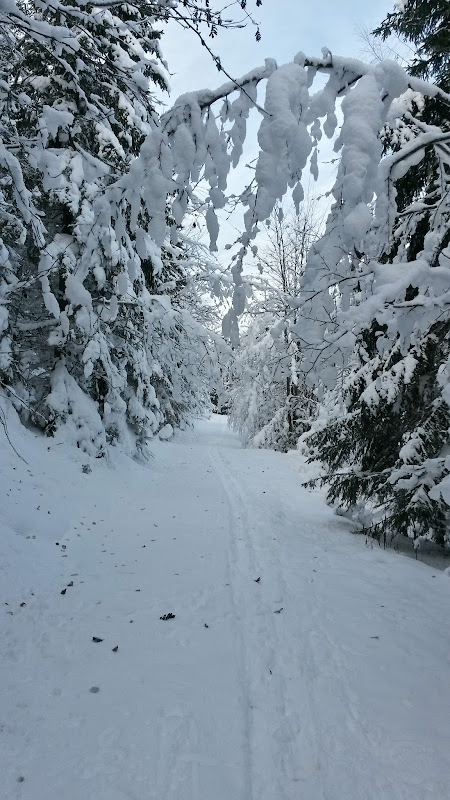 lh3.googleusercontent.com_-k7wrr8ho_kc_uqcxczrjwmi_aaaaaaaatsu_h_gecgxnb1i_w450-h800-no_20131205_103817_richtone_2528hdr_2529.jpg lh3.googleusercontent.com_-k7wrr8ho_kc_uqcxczrjwmi_aaaaaaaatsu_h_gecgxnb1i_w450-h800-no_20131205_103817_richtone_2528hdr_2529.jpg