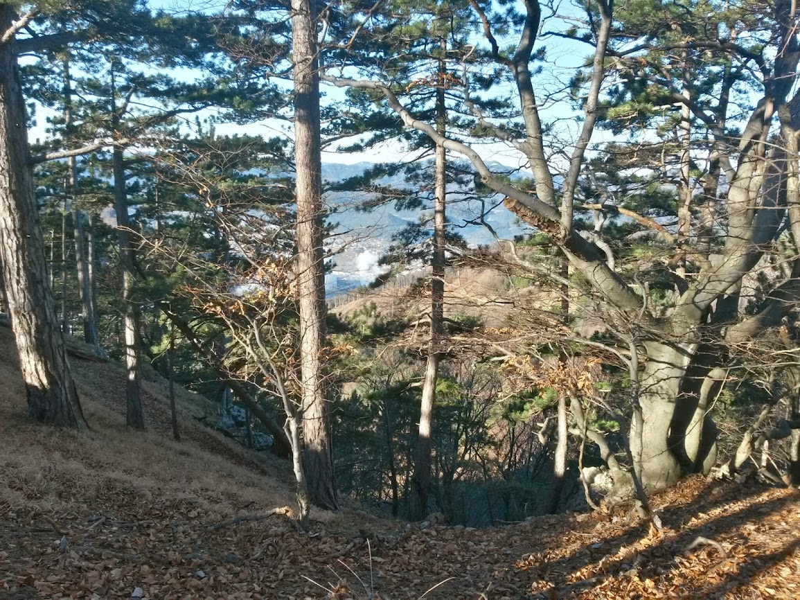 lh3.googleusercontent.com_-meksnezj4nc_urmjoau91fi_aaaaaaaatzu_g3rt-vg-pwm_w1155-h866-no_20131224_102037_richtone_2528hdr_2529.jpg lh3.googleusercontent.com_-meksnezj4nc_urmjoau91fi_aaaaaaaatzu_g3rt-vg-pwm_w1155-h866-no_20131224_102037_richtone_2528hdr_2529.jpg