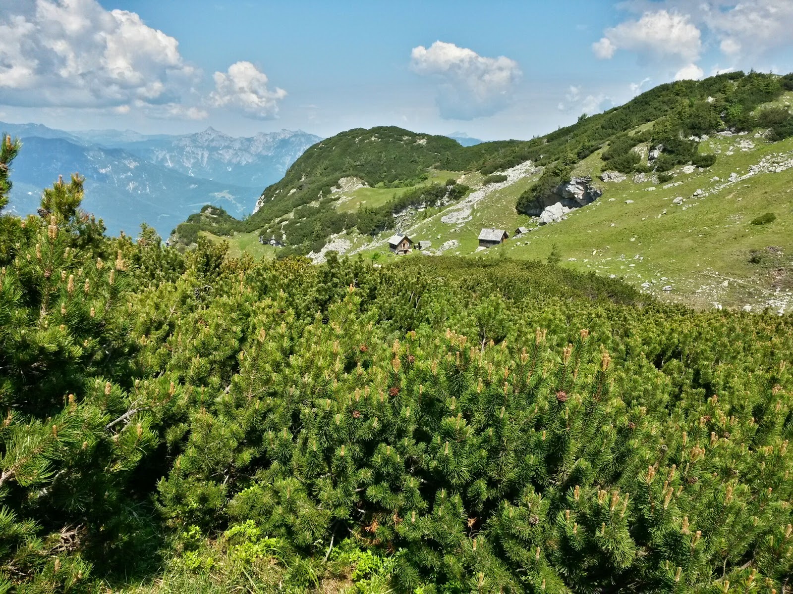 lh5.googleusercontent.com_-yyccrfcazs8_u6loevbw28i_aaaaaaaaahs_vpvlnj88aue_w1600-h1200-no_20140619_104825_richtone_2528hdr_2529.jpg lh5.googleusercontent.com_-yyccrfcazs8_u6loevbw28i_aaaaaaaaahs_vpvlnj88aue_w1600-h1200-no_20140619_104825_richtone_2528hdr_2529.jpg