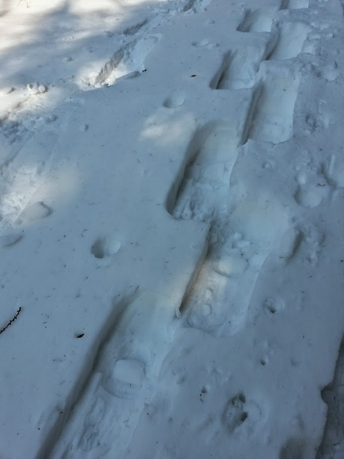 lh6.googleusercontent.com_-etwln6pa_ey_vn9n2a_isi_aaaaaaaahbg_4fea08rkub4_w680-h907-no_20150214_132113_richtone_28hdr_29.jpg lh6.googleusercontent.com_-etwln6pa_ey_vn9n2a_isi_aaaaaaaahbg_4fea08rkub4_w680-h907-no_20150214_132113_richtone_28hdr_29.jpg