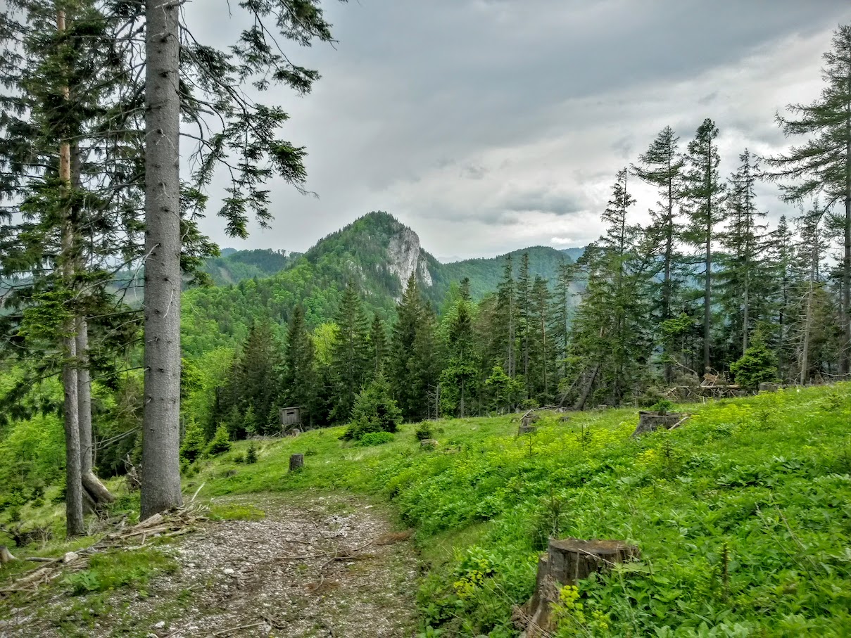 lh4.googleusercontent.com_-re_fzlvnjeo_vwnugtnxvgi_aaaaaaaajes_dqxjppu2juu_w1209-h907-no_20150530_133634_richtone_2528hdr_2529.jpg lh4.googleusercontent.com_-re_fzlvnjeo_vwnugtnxvgi_aaaaaaaajes_dqxjppu2juu_w1209-h907-no_20150530_133634_richtone_2528hdr_2529.jpg