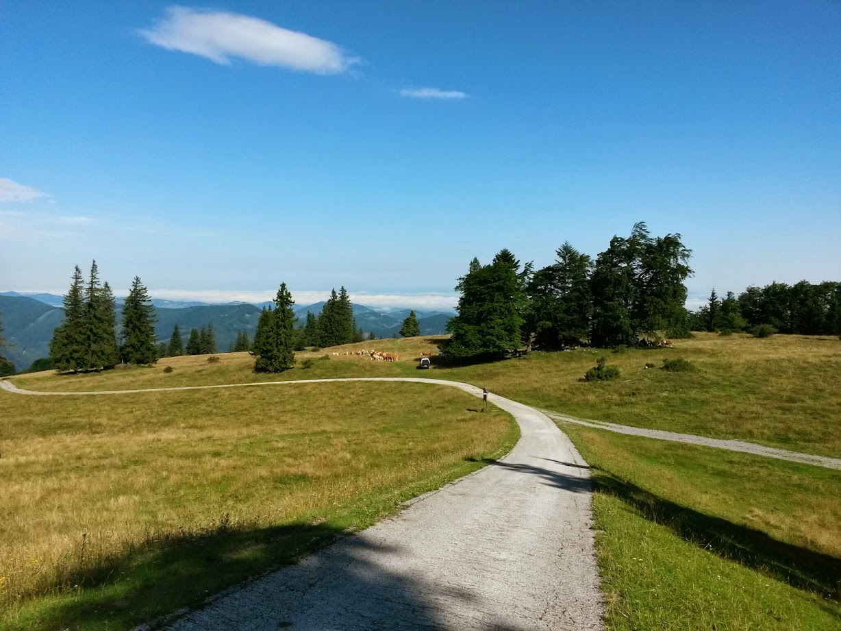 lh3.googleusercontent.com_-b8xgagtyoyq_u9zym8-pgji_aaaaaaaabgo_3c6qyp94xw8_w1228-h921-no_20140802_093202_richtone_28hdr_29.jpg lh3.googleusercontent.com_-b8xgagtyoyq_u9zym8-pgji_aaaaaaaabgo_3c6qyp94xw8_w1228-h921-no_20140802_093202_richtone_28hdr_29.jpg