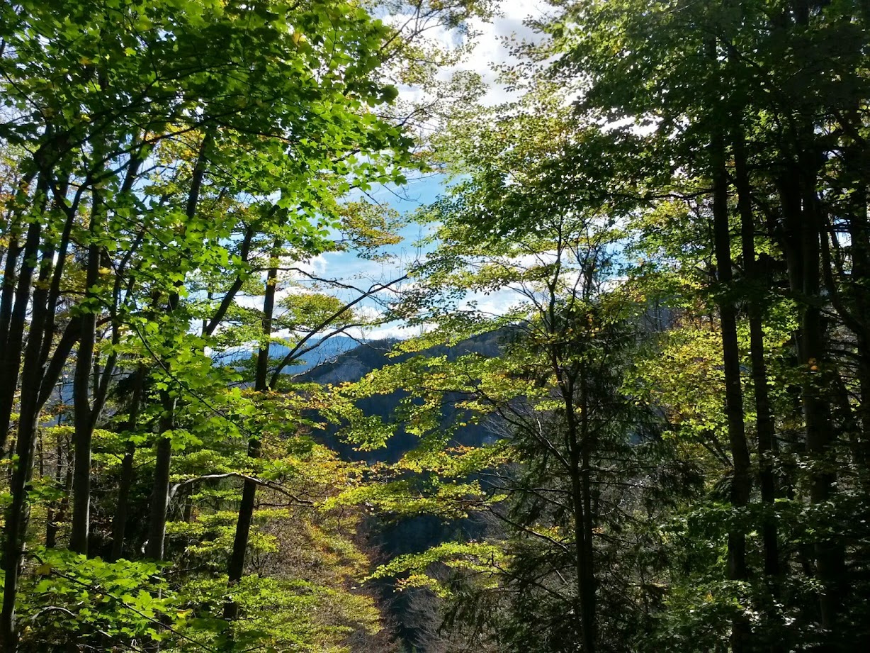 lh6.googleusercontent.com_-vlcl8hsdiqw_vejxpoqjwbi_aaaaaaaaerg_zr-uj8spcuu_w1228-h921-no_20141018_124917_richtone_28hdr_29.jpg lh6.googleusercontent.com_-vlcl8hsdiqw_vejxpoqjwbi_aaaaaaaaerg_zr-uj8spcuu_w1228-h921-no_20141018_124917_richtone_28hdr_29.jpg