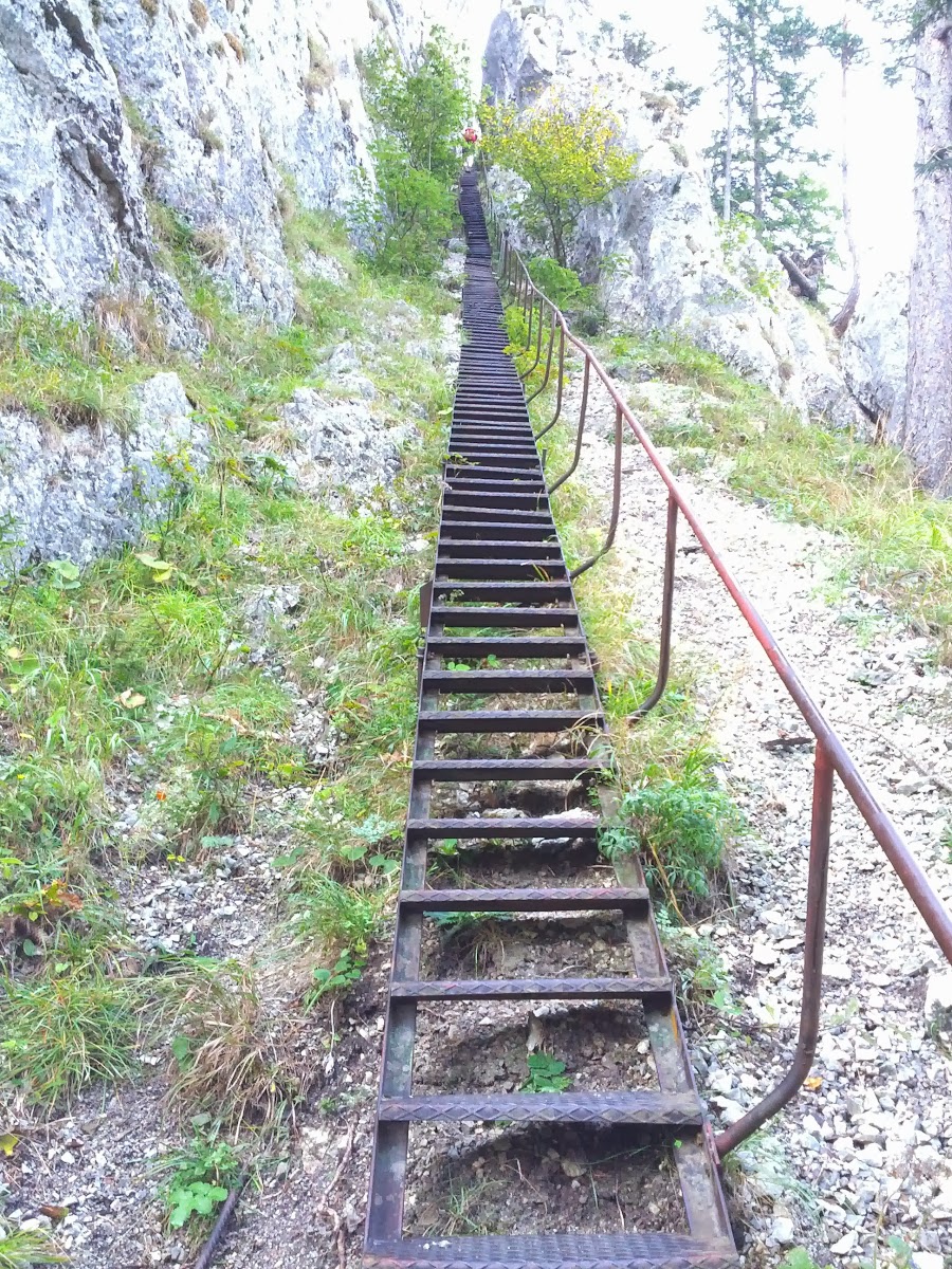 lh3.googleusercontent.com_-jhwbxzkgyu0_uito6thfpqi_aaaaaaaaqgg_zamaerkksrw_w900-h1200-no_img_20130907_075938.jpg lh3.googleusercontent.com_-jhwbxzkgyu0_uito6thfpqi_aaaaaaaaqgg_zamaerkksrw_w900-h1200-no_img_20130907_075938.jpg