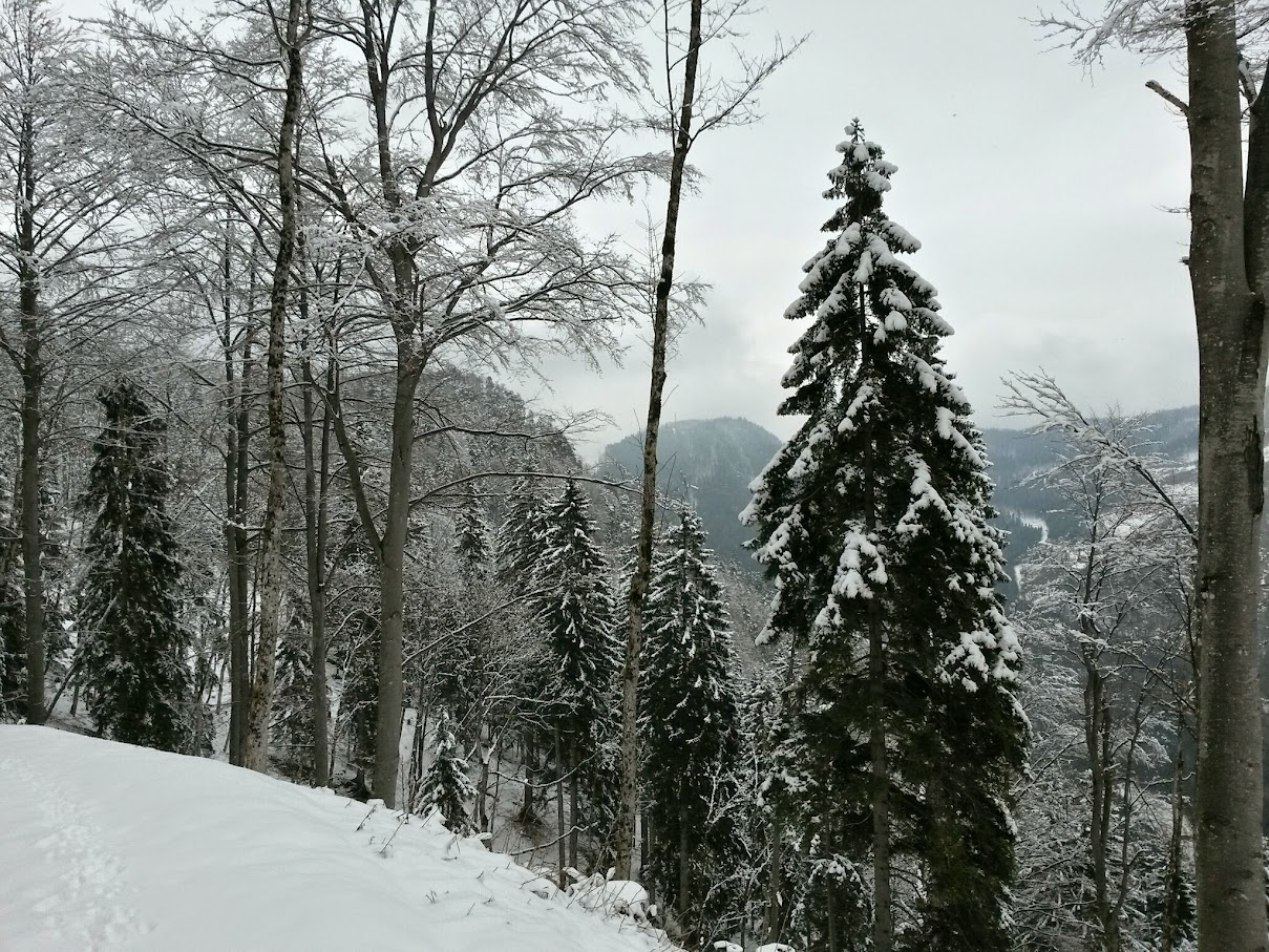 lh5.googleusercontent.com_-3wfao-55idm_vqqvoctp0ki_aaaaaaaah6a_dnl1taoogyw_w1209-h907-no_20150314_135148_richtone_28hdr_29.jpg lh5.googleusercontent.com_-3wfao-55idm_vqqvoctp0ki_aaaaaaaah6a_dnl1taoogyw_w1209-h907-no_20150314_135148_richtone_28hdr_29.jpg