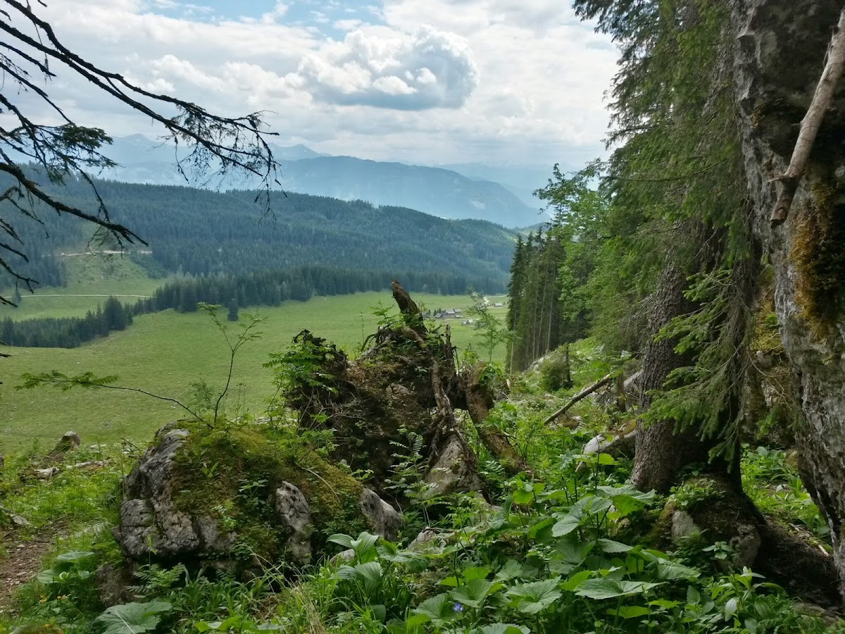 lh4.googleusercontent.com_-ibnmif6bpee_u6hqbgdwovi_aaaaaaaaaag_jieqerjix_o_w1200-h900-no_20140618_142622_richtone_2528hdr_2529.jpg lh4.googleusercontent.com_-ibnmif6bpee_u6hqbgdwovi_aaaaaaaaaag_jieqerjix_o_w1200-h900-no_20140618_142622_richtone_2528hdr_2529.jpg