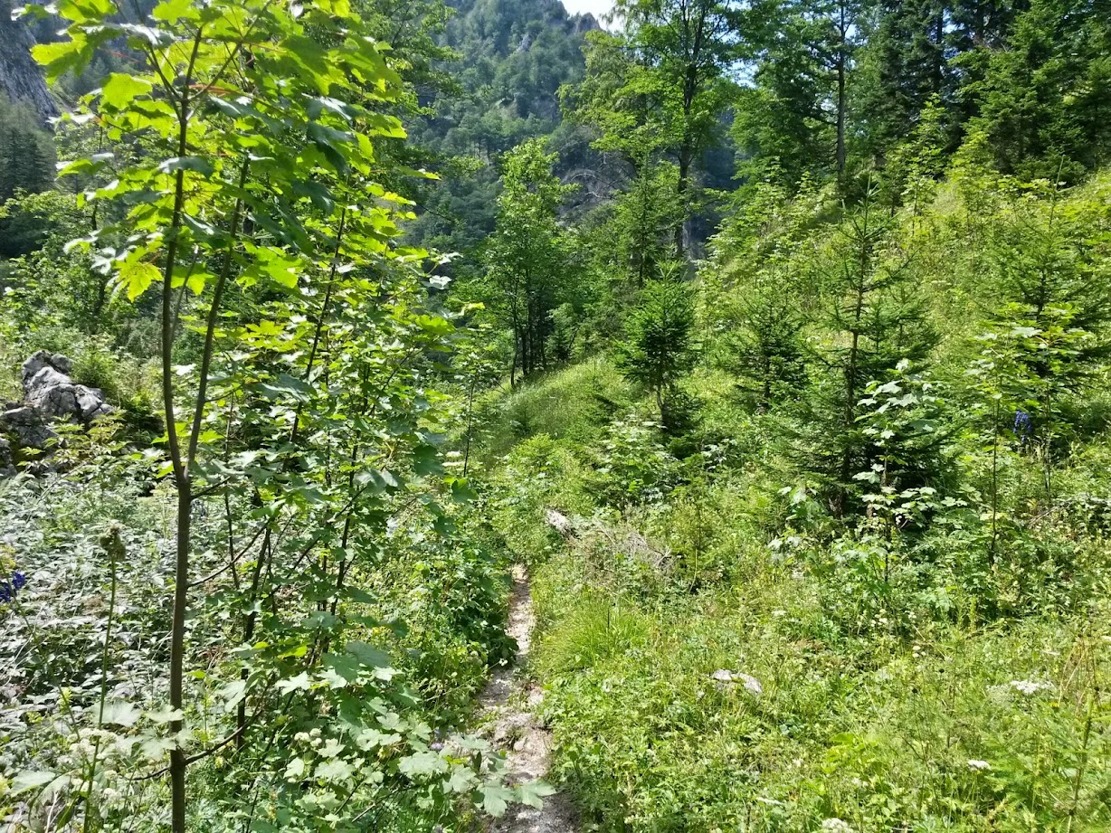 lh5.googleusercontent.com_-_nmhc_5nbwa_u-zv-w2b8wi_aaaaaaaab24_ozqywtyzfu4_w1228-h921-no_20140809_141420_richtone_28hdr_29.jpg lh5.googleusercontent.com_-_nmhc_5nbwa_u-zv-w2b8wi_aaaaaaaab24_ozqywtyzfu4_w1228-h921-no_20140809_141420_richtone_28hdr_29.jpg