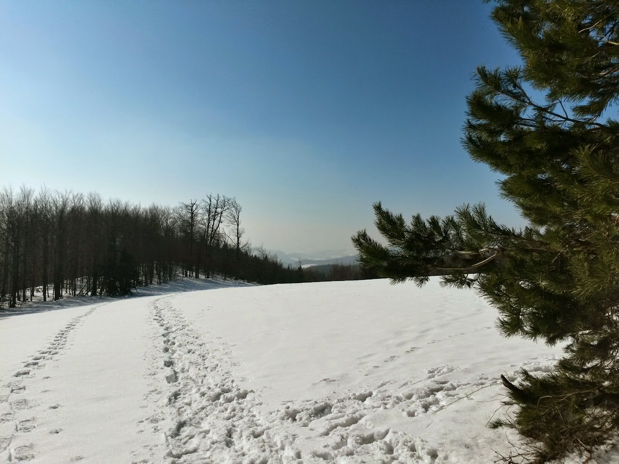 lh4.googleusercontent.com_-7yv7c8pests_vn9nu8vwn1i_aaaaaaaahaw_lyv_llenmyq_w1209-h907-no_20150214_125113_richtone_28hdr_29.jpg lh4.googleusercontent.com_-7yv7c8pests_vn9nu8vwn1i_aaaaaaaahaw_lyv_llenmyq_w1209-h907-no_20150214_125113_richtone_28hdr_29.jpg