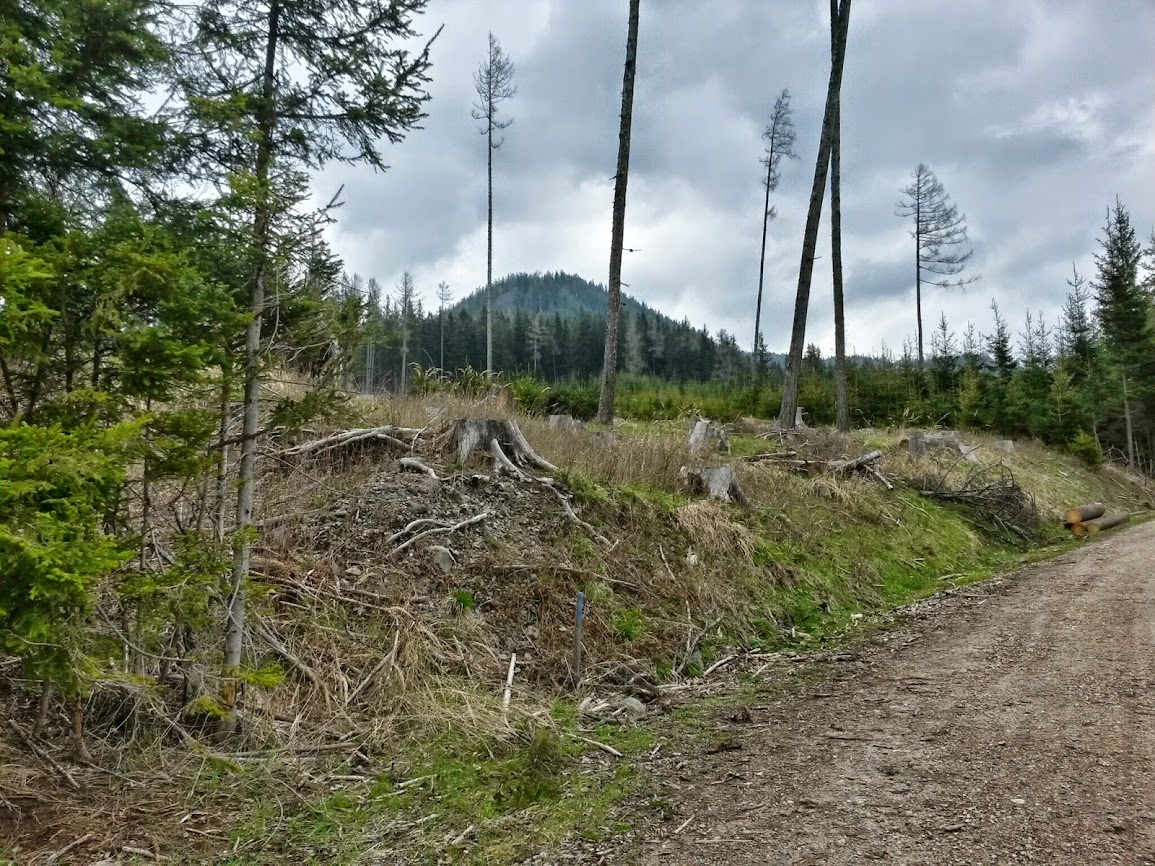 lh6.googleusercontent.com_-sr2majac0pc_u0uum_eadqi_aaaaaaaawsg_wvut-xcnfj0_w1155-h866-no_20140414_101239_richtone_2528hdr_2529.jpg lh6.googleusercontent.com_-sr2majac0pc_u0uum_eadqi_aaaaaaaawsg_wvut-xcnfj0_w1155-h866-no_20140414_101239_richtone_2528hdr_2529.jpg