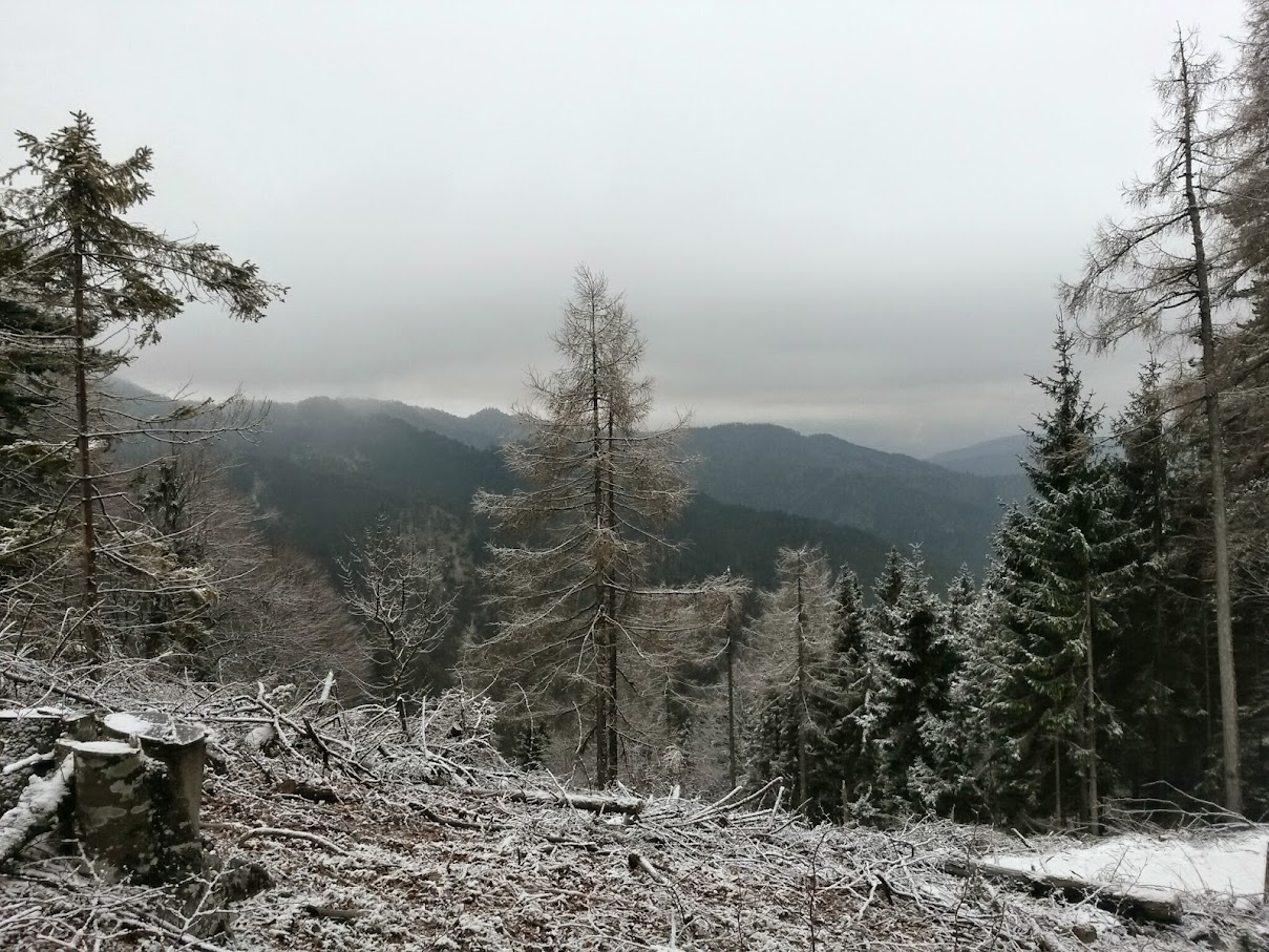 lh5.googleusercontent.com_-s2hxow4s8dw_vmot73sd1ai_aaaaaaaahfy_tocfgl6x61y_w1209-h907-no_20150124_102200_richtone_28hdr_29.jpg lh5.googleusercontent.com_-s2hxow4s8dw_vmot73sd1ai_aaaaaaaahfy_tocfgl6x61y_w1209-h907-no_20150124_102200_richtone_28hdr_29.jpg