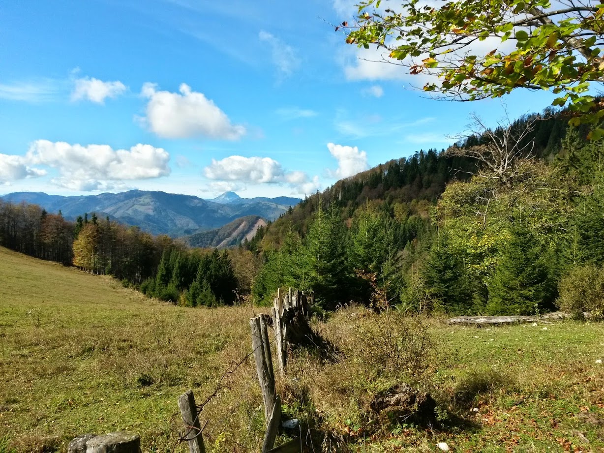 lh6.googleusercontent.com_-sf9ctzzozpm_vejxibdhfni_aaaaaaaaeqw_8_gh7deoi0w_w1228-h921-no_20141018_115039_richtone_28hdr_29.jpg lh6.googleusercontent.com_-sf9ctzzozpm_vejxibdhfni_aaaaaaaaeqw_8_gh7deoi0w_w1228-h921-no_20141018_115039_richtone_28hdr_29.jpg