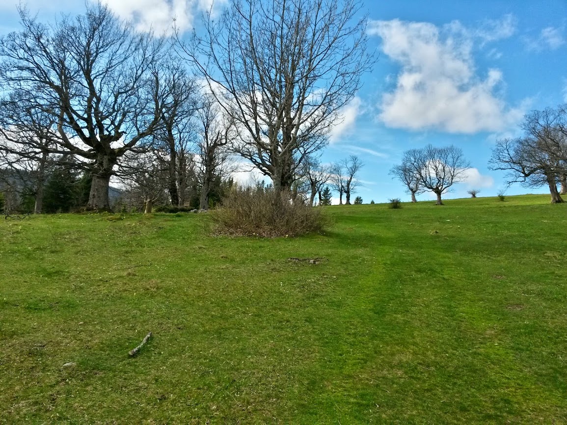 lh5.googleusercontent.com_-i2dhe4qr0fg_u1vxybosasi_aaaaaaaaxds_plcbsm3tlom_w1155-h866-no_20140421_105843_richtone_2528hdr_2529.jpg lh5.googleusercontent.com_-i2dhe4qr0fg_u1vxybosasi_aaaaaaaaxds_plcbsm3tlom_w1155-h866-no_20140421_105843_richtone_2528hdr_2529.jpg