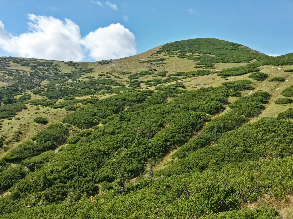 lh4.googleusercontent.com_-hwflkhaxudk_vb2yvry4dki_aaaaaaaadny_vatiht26d04_w1228-h921-no_20140920_120925_richtone_28hdr_29.jpg lh4.googleusercontent.com_-hwflkhaxudk_vb2yvry4dki_aaaaaaaadny_vatiht26d04_w1228-h921-no_20140920_120925_richtone_28hdr_29.jpg