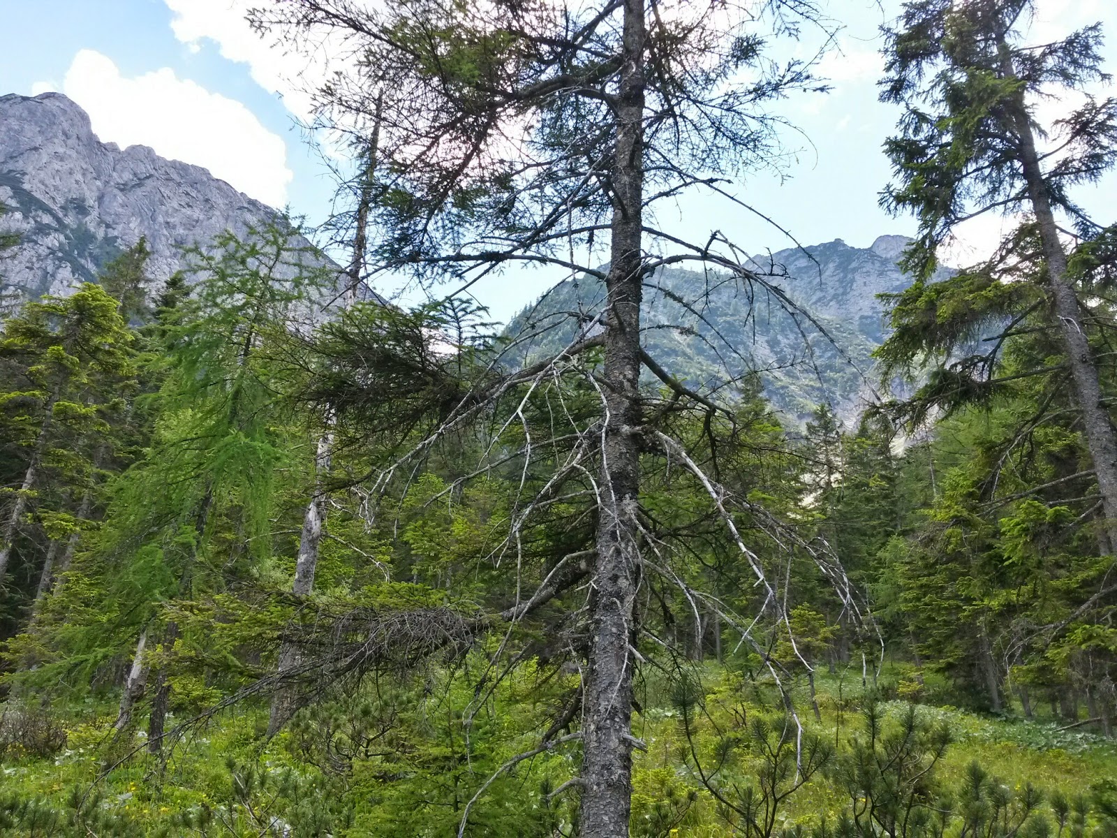 lh6.googleusercontent.com_-qidrvzf9wxa_u6lvi_sid6i_aaaaaaaaake_837ivefsq40_w1600-h1200-no_20140619_134451_richtone_2528hdr_2529.jpg lh6.googleusercontent.com_-qidrvzf9wxa_u6lvi_sid6i_aaaaaaaaake_837ivefsq40_w1600-h1200-no_20140619_134451_richtone_2528hdr_2529.jpg