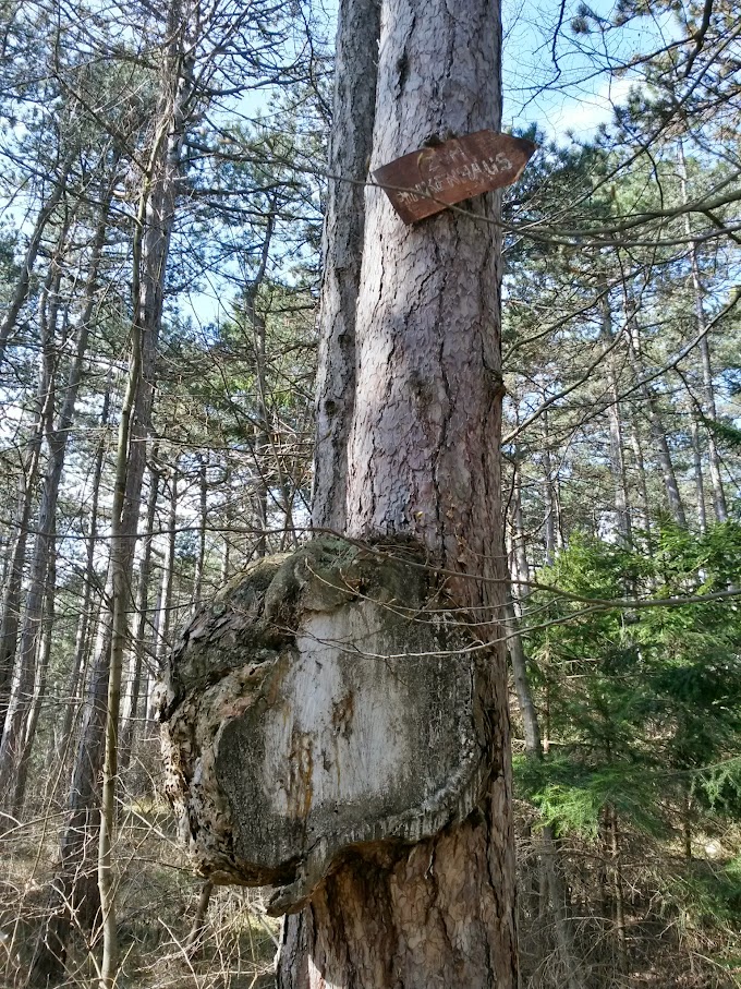 lh6.googleusercontent.com_-9kshu8gubow_vra41kr2rmi_aaaaaaaaiia_od7j5mbg1um_w680-h907-no_20150328_094624_richtone_28hdr_29.jpg lh6.googleusercontent.com_-9kshu8gubow_vra41kr2rmi_aaaaaaaaiia_od7j5mbg1um_w680-h907-no_20150328_094624_richtone_28hdr_29.jpg