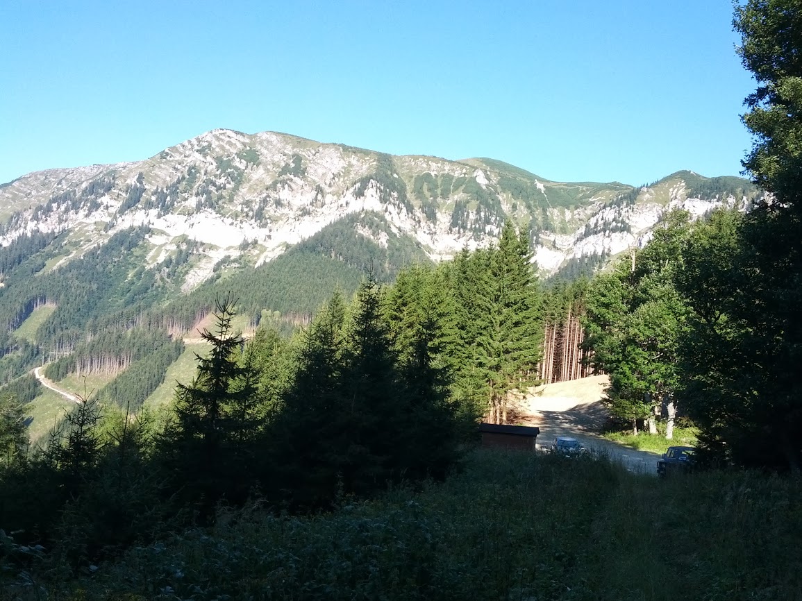 lh4.googleusercontent.com_-etsd8eay7uc_ug-hnhtjk4i_aaaaaaaappy_btteh44kqme_w1155-h866-no_img_20130817_083952.jpg lh4.googleusercontent.com_-etsd8eay7uc_ug-hnhtjk4i_aaaaaaaappy_btteh44kqme_w1155-h866-no_img_20130817_083952.jpg