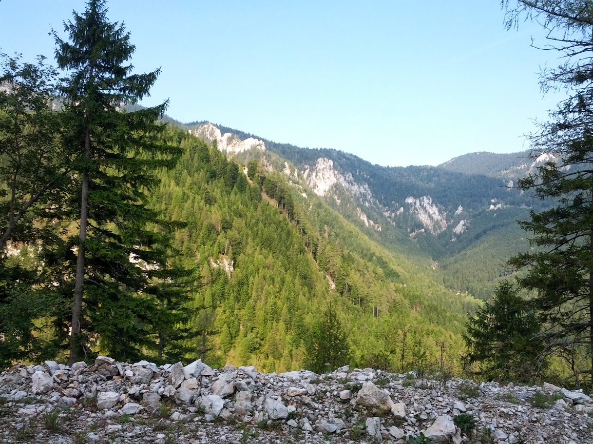 lh6.googleusercontent.com_-vk_sgn3sjqu_uiiljq2wggi_aaaaaaaap8a_pyb7bhupvms_w1155-h866-no_img_20130831_084737.jpg lh6.googleusercontent.com_-vk_sgn3sjqu_uiiljq2wggi_aaaaaaaap8a_pyb7bhupvms_w1155-h866-no_img_20130831_084737.jpg