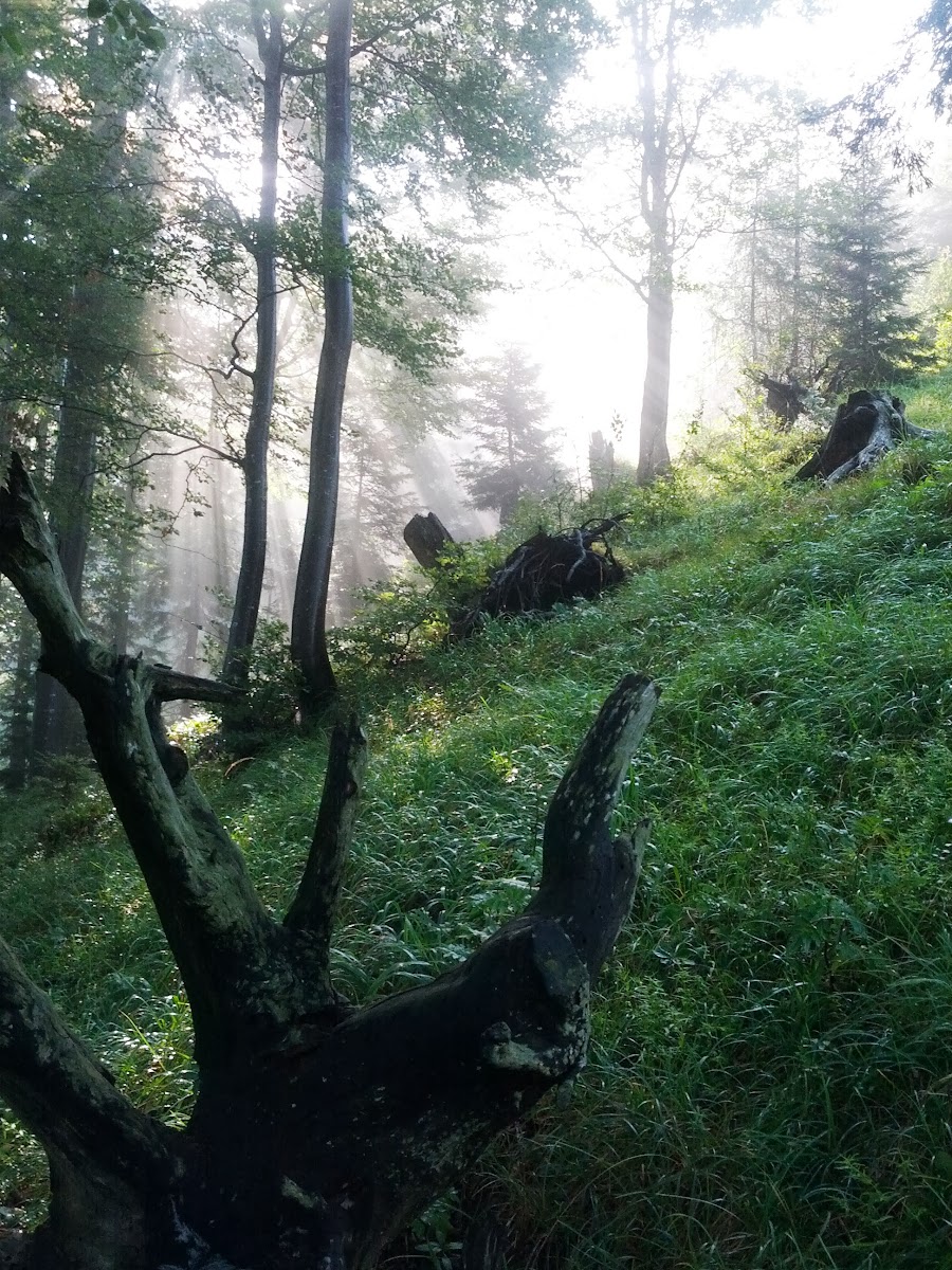 lh5.googleusercontent.com_-nofvu3falf8_ugyshqc6dli_aaaaaaaapbu_35dpkwltrii_w900-h1200-no_img_20130810_092122.jpg lh5.googleusercontent.com_-nofvu3falf8_ugyshqc6dli_aaaaaaaapbu_35dpkwltrii_w900-h1200-no_img_20130810_092122.jpg