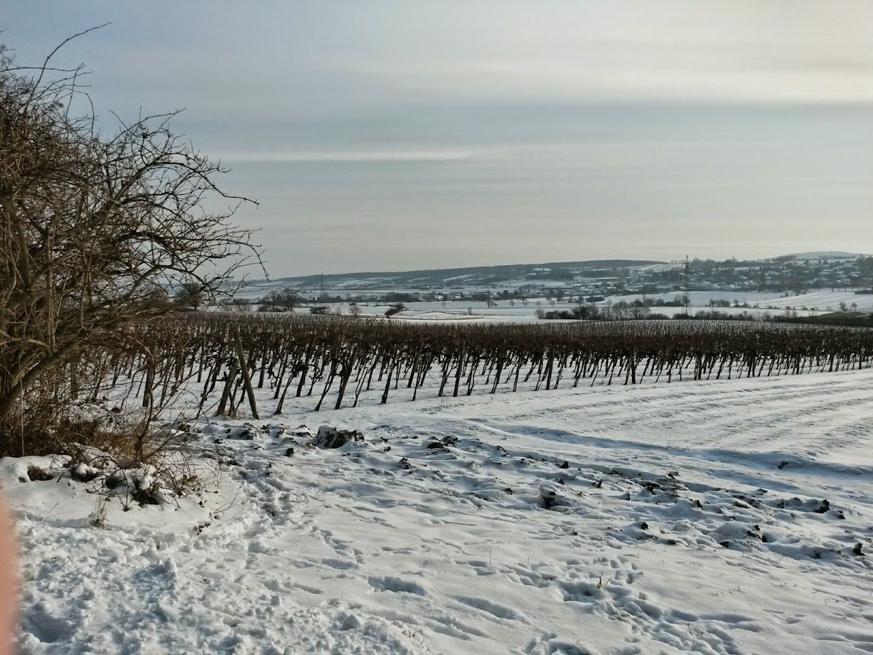 lh3.googleusercontent.com_-kb-itewkjnu_vkqu06btn-i_aaaaaaaagno_h2epjvyw358_w1228-h921-no_20141231_140519_richtone_28hdr_29.jpg lh3.googleusercontent.com_-kb-itewkjnu_vkqu06btn-i_aaaaaaaagno_h2epjvyw358_w1228-h921-no_20141231_140519_richtone_28hdr_29.jpg