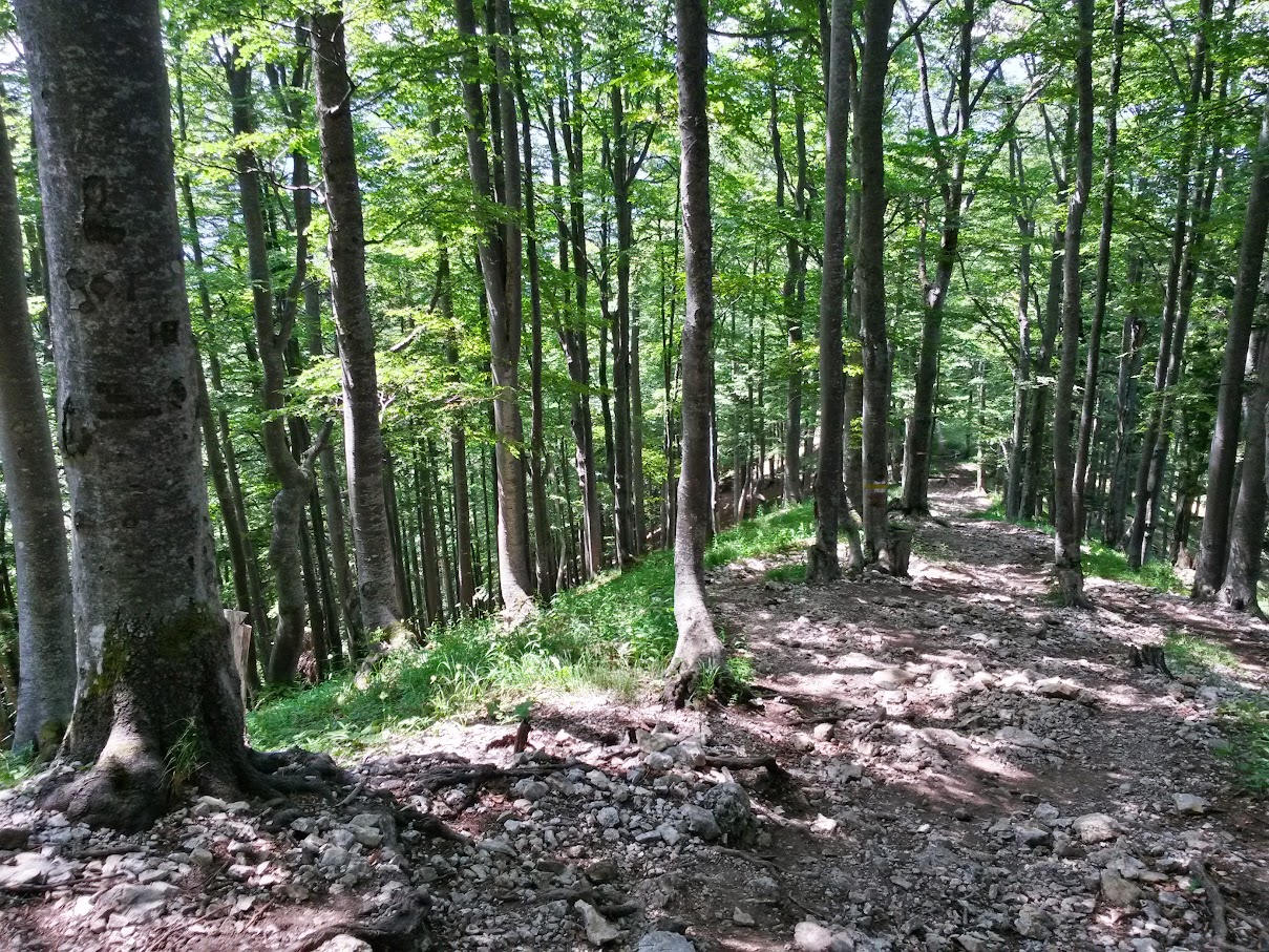 lh4.googleusercontent.com_-sxau720rw7w_vzfl7vs5kai_aaaaaaaamfq_tjeal2dmhdk_w1209-h907-no_20150704_121427_richtone_2528hdr_2529.jpg lh4.googleusercontent.com_-sxau720rw7w_vzfl7vs5kai_aaaaaaaamfq_tjeal2dmhdk_w1209-h907-no_20150704_121427_richtone_2528hdr_2529.jpg