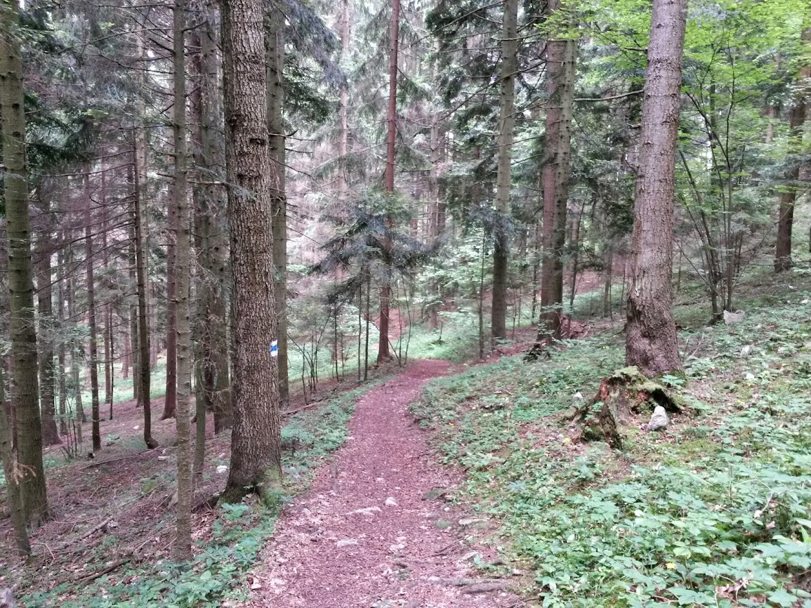 lh3.googleusercontent.com_-s-cpteowxjk_u4ch5o6iksi_aaaaaaaayea_aosn4wcl6cs_w1155-h866-no_20140529_111259_richtone_2528hdr_2529.jpg lh3.googleusercontent.com_-s-cpteowxjk_u4ch5o6iksi_aaaaaaaayea_aosn4wcl6cs_w1155-h866-no_20140529_111259_richtone_2528hdr_2529.jpg