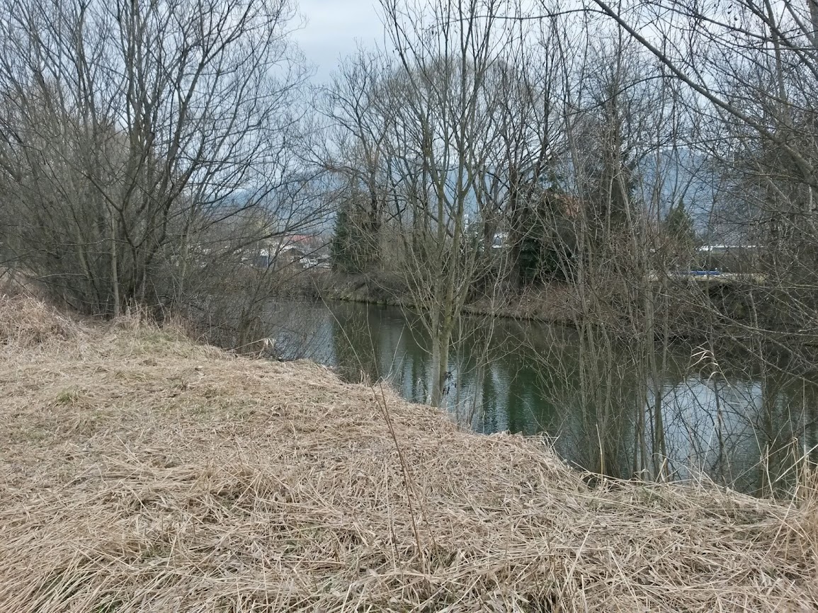 lh5.googleusercontent.com_-4_zubk3hqw0_uyqztrth6ei_aaaaaaaav34_p3s6asadlnw_w1155-h866-no_20140315_120220_richtone_2528hdr_2529.jpg lh5.googleusercontent.com_-4_zubk3hqw0_uyqztrth6ei_aaaaaaaav34_p3s6asadlnw_w1155-h866-no_20140315_120220_richtone_2528hdr_2529.jpg