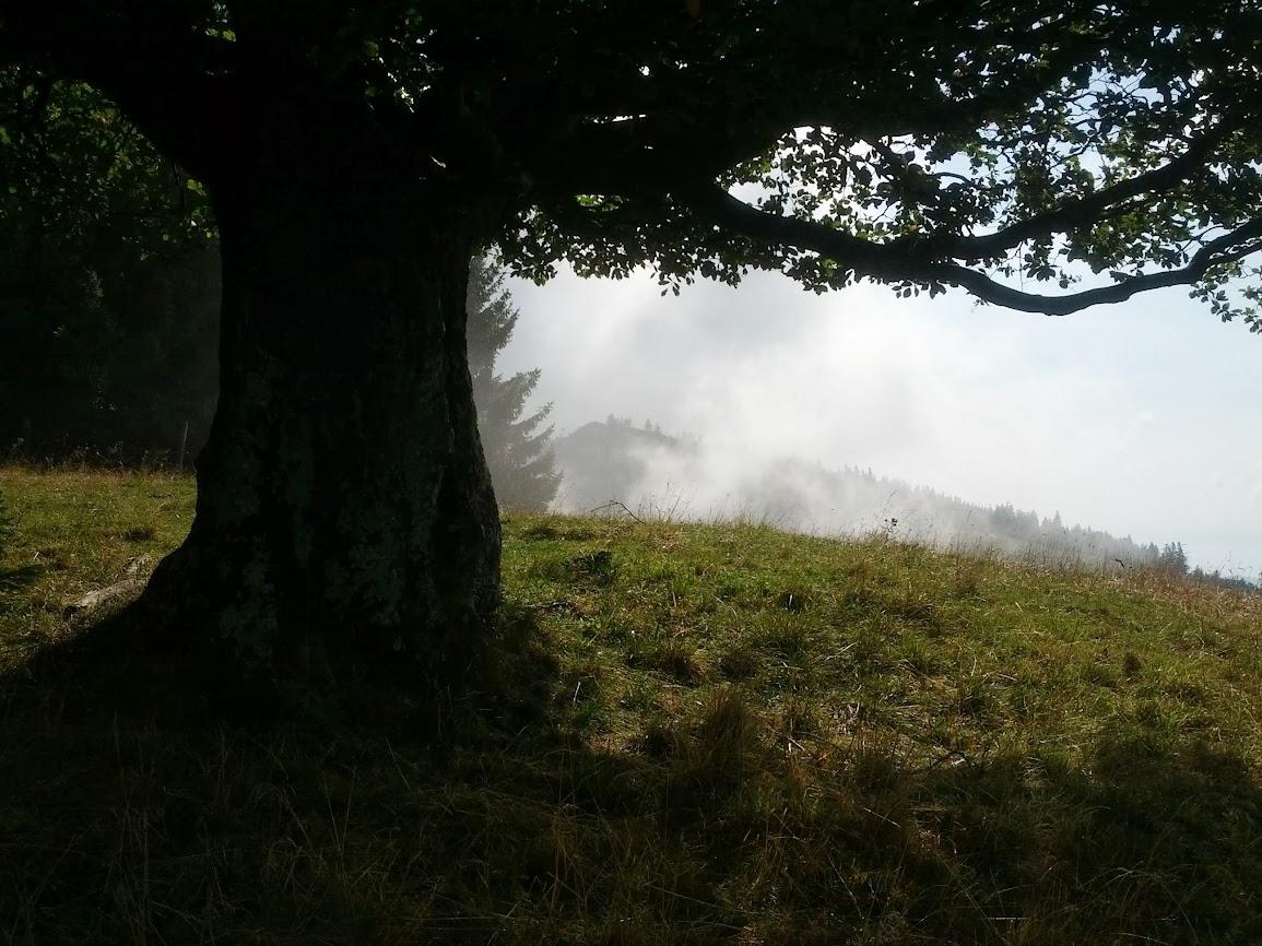 lh5.googleusercontent.com_-3s0vwujdxgy_ugyrksbjc_i_aaaaaaaapyg_j0gcpjrmfxs_w1155-h866-no_img_20130810_093203.jpg lh5.googleusercontent.com_-3s0vwujdxgy_ugyrksbjc_i_aaaaaaaapyg_j0gcpjrmfxs_w1155-h866-no_img_20130810_093203.jpg