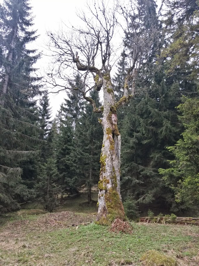 lh4.googleusercontent.com_-nfvolycvn4a_vvdb3oenx7i_aaaaaaaajis_yqmqbl3rbua_w680-h907-no_20150516_114307_richtone_2528hdr_2529.jpg lh4.googleusercontent.com_-nfvolycvn4a_vvdb3oenx7i_aaaaaaaajis_yqmqbl3rbua_w680-h907-no_20150516_114307_richtone_2528hdr_2529.jpg