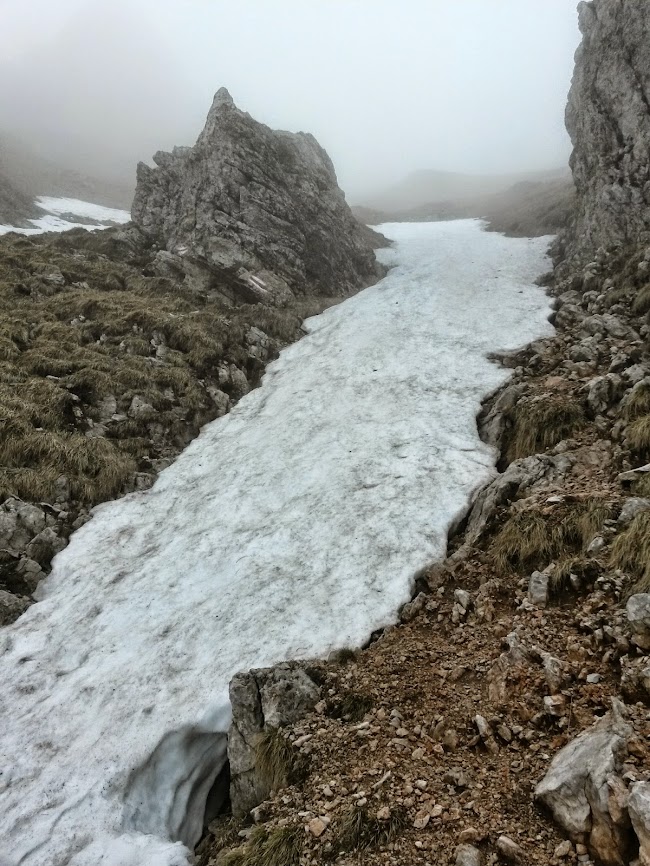 lh4.googleusercontent.com_-m06xbm96ztw_u2i-getl6-i_aaaaaaaaxq4_iynwvltvrag_w650-h866-no_20140501_095546_richtone_2528hdr_2529.jpg lh4.googleusercontent.com_-m06xbm96ztw_u2i-getl6-i_aaaaaaaaxq4_iynwvltvrag_w650-h866-no_20140501_095546_richtone_2528hdr_2529.jpg