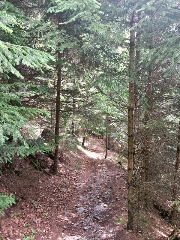 lh5.googleusercontent.com_-zg4nwms11do_vyvfpxrrs9i_aaaaaaaak60_4je0duwcqf0_w600-h800-no_20150620_111454_richtone_2528hdr_2529.jpg lh5.googleusercontent.com_-zg4nwms11do_vyvfpxrrs9i_aaaaaaaak60_4je0duwcqf0_w600-h800-no_20150620_111454_richtone_2528hdr_2529.jpg