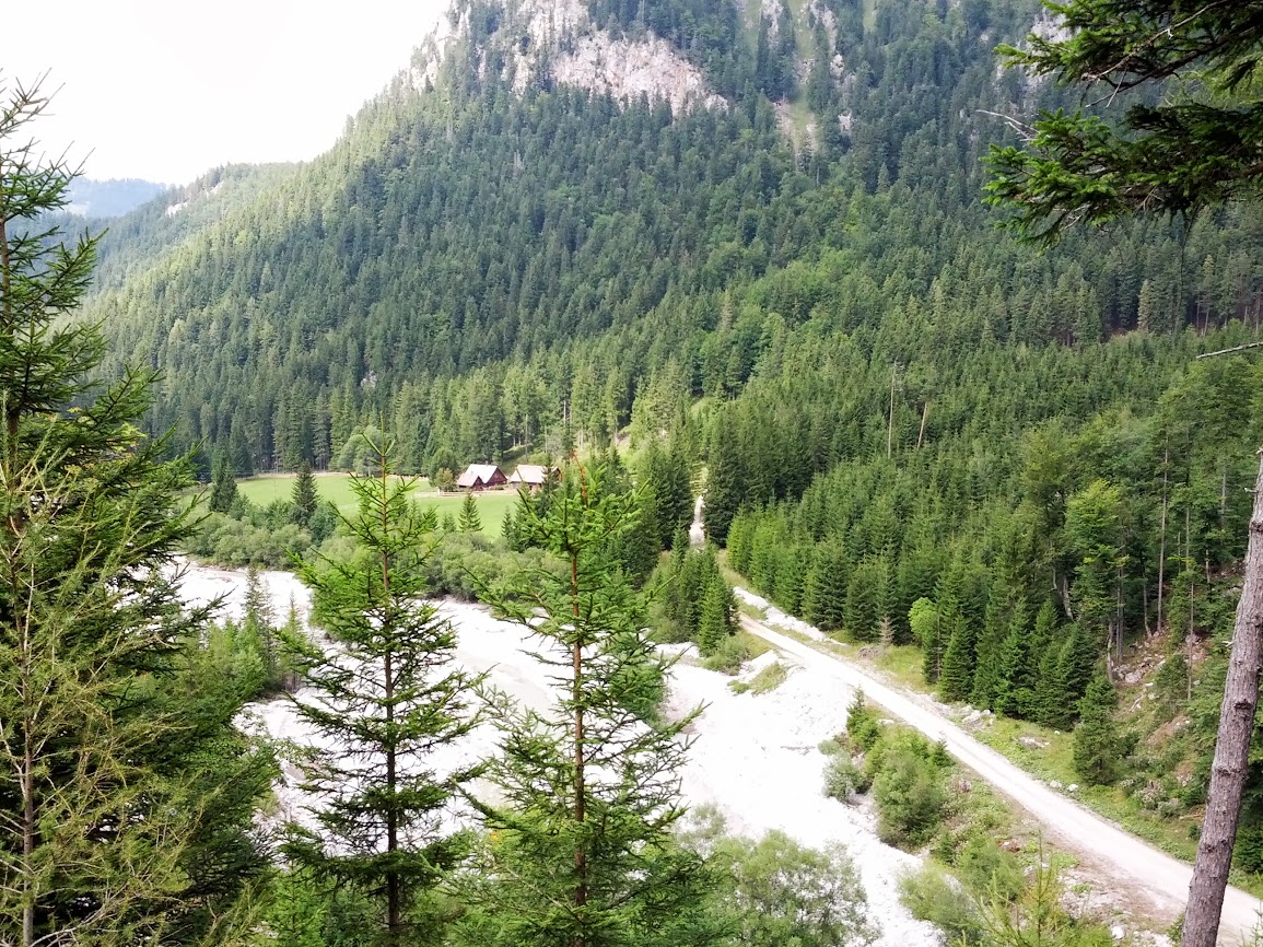 lh5.googleusercontent.com_-yl51nkuthfw_uiimq-yywpi_aaaaaaaaqb0_mp7fctvt4_g_w1155-h866-no_img_20130831_135402.jpg lh5.googleusercontent.com_-yl51nkuthfw_uiimq-yywpi_aaaaaaaaqb0_mp7fctvt4_g_w1155-h866-no_img_20130831_135402.jpg