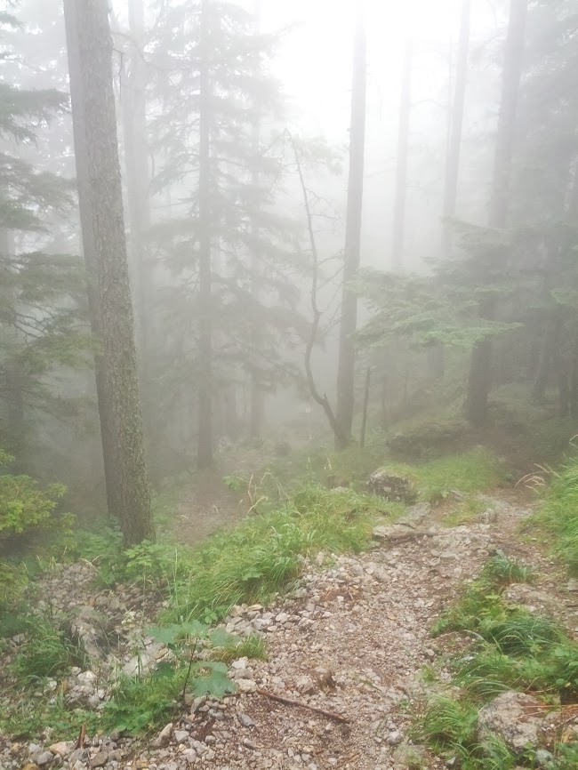 lh3.googleusercontent.com_-ygyfzw68doq_uhjn_f-acli_aaaaaaaap50_l56djprpeio_w650-h866-no_img_20130824_134846.jpg lh3.googleusercontent.com_-ygyfzw68doq_uhjn_f-acli_aaaaaaaap50_l56djprpeio_w650-h866-no_img_20130824_134846.jpg