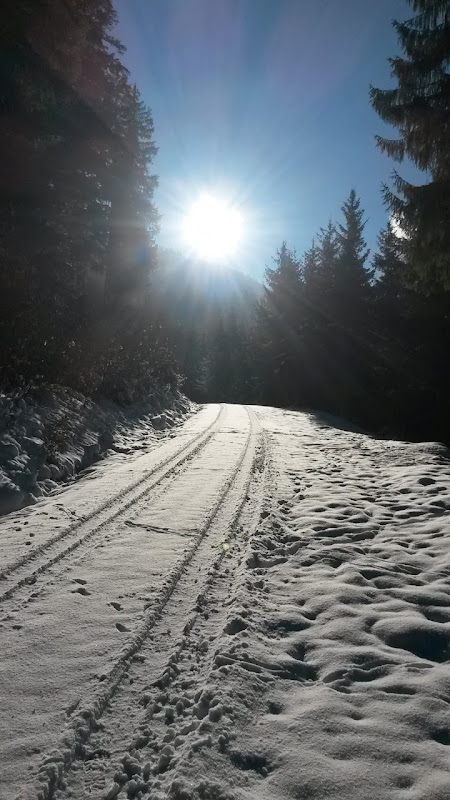 lh5.googleusercontent.com_-vrs8ndjxufw_uqcc3dl9zii_aaaaaaaatvm_xj7tqvhqlji_w450-h800-no_20131205_120234.jpg lh5.googleusercontent.com_-vrs8ndjxufw_uqcc3dl9zii_aaaaaaaatvm_xj7tqvhqlji_w450-h800-no_20131205_120234.jpg