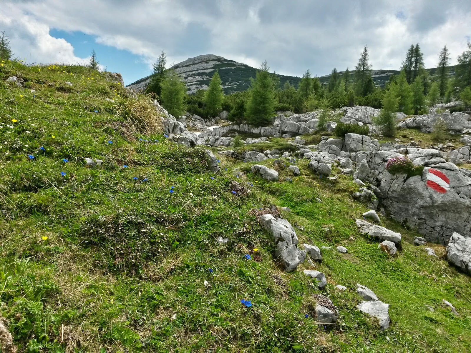 lh6.googleusercontent.com_-xlr1ol-mnqy_u6g_bcmi_i_aaaaaaaaawe_mfrmhlucayq_w1600-h1200-no_20140618_121234_richtone_2528hdr_2529.jpg lh6.googleusercontent.com_-xlr1ol-mnqy_u6g_bcmi_i_aaaaaaaaawe_mfrmhlucayq_w1600-h1200-no_20140618_121234_richtone_2528hdr_2529.jpg