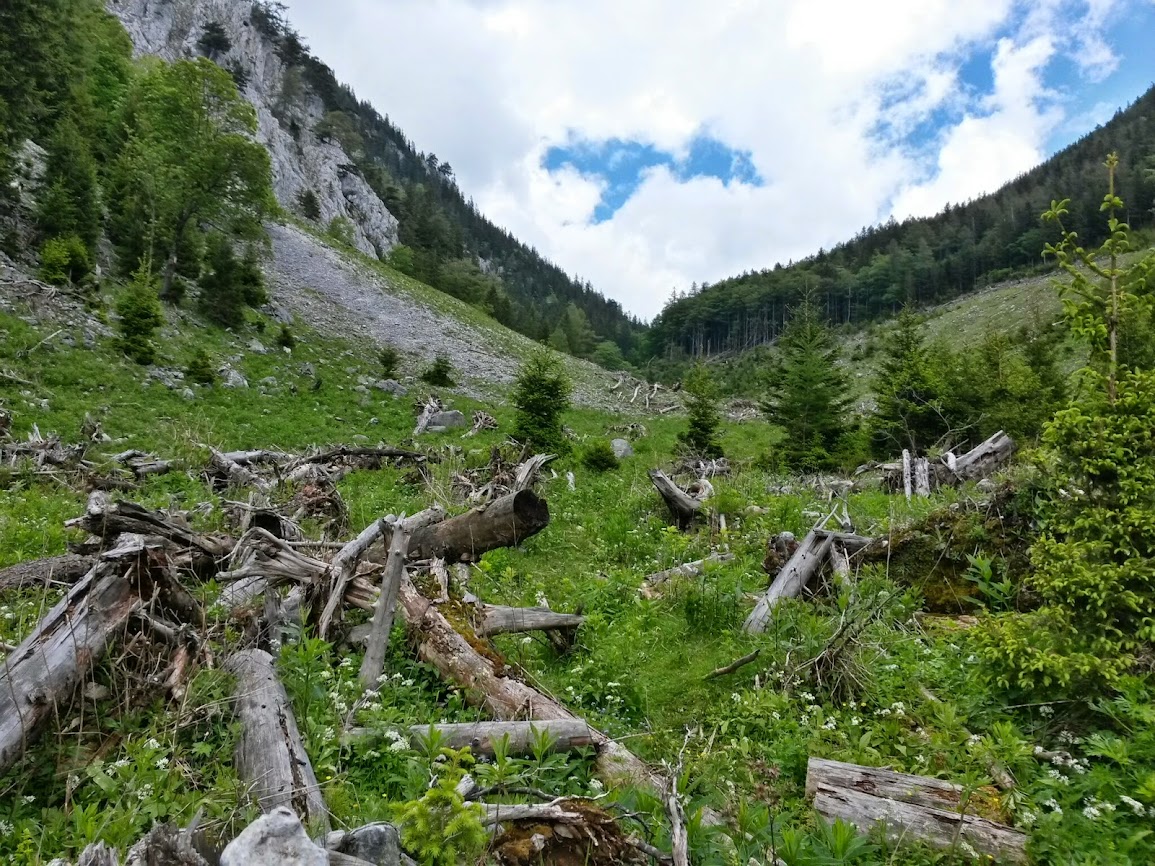 lh6.googleusercontent.com_-lfzyhpsbnb8_u4nqnxzerui_aaaaaaaaynw_6as4t5rwy3q_w1155-h866-no_20140531_124620_richtone_2528hdr_2529.jpg lh6.googleusercontent.com_-lfzyhpsbnb8_u4nqnxzerui_aaaaaaaaynw_6as4t5rwy3q_w1155-h866-no_20140531_124620_richtone_2528hdr_2529.jpg