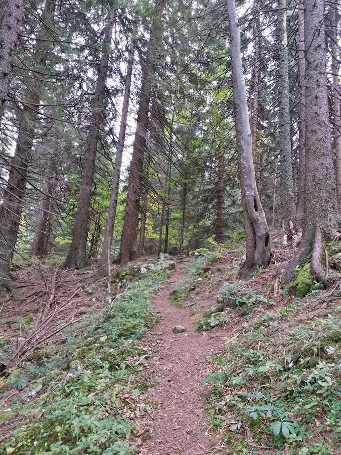 lh6.googleusercontent.com_-8qaqpd9ptwu_vg_zbm0cfni_aaaaaaaaokq_s3hzrp7xlqc_w680-h907-no_20151003_112431_richtone_2528hdr_2529.jpg lh6.googleusercontent.com_-8qaqpd9ptwu_vg_zbm0cfni_aaaaaaaaokq_s3hzrp7xlqc_w680-h907-no_20151003_112431_richtone_2528hdr_2529.jpg