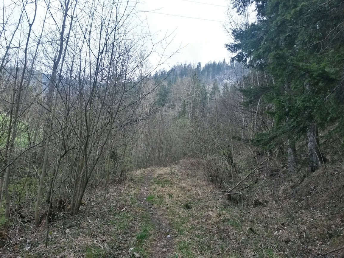 lh3.googleusercontent.com_-ao9kxo9lf0w_uz-sr5yru4i_aaaaaaaawms_vmsuec4ozjs_w1155-h866-no_20140405_090835_richtone_2528hdr_2529.jpg lh3.googleusercontent.com_-ao9kxo9lf0w_uz-sr5yru4i_aaaaaaaawms_vmsuec4ozjs_w1155-h866-no_20140405_090835_richtone_2528hdr_2529.jpg