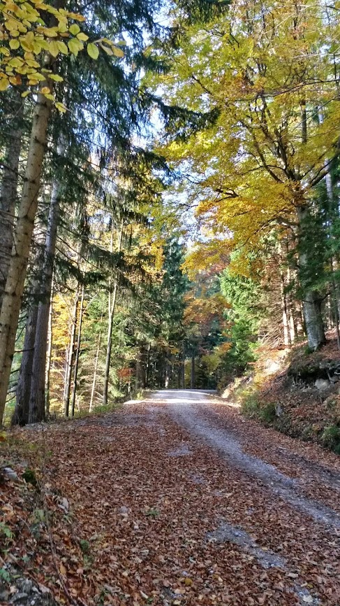 lh3.googleusercontent.com_--blu0662-1m_umktcz5x-wi_aaaaaaaargg_hny2n0xudfe_w487-h866-no_20131019_082259_richtone_2528hdr_2529.jpg lh3.googleusercontent.com_--blu0662-1m_umktcz5x-wi_aaaaaaaargg_hny2n0xudfe_w487-h866-no_20131019_082259_richtone_2528hdr_2529.jpg