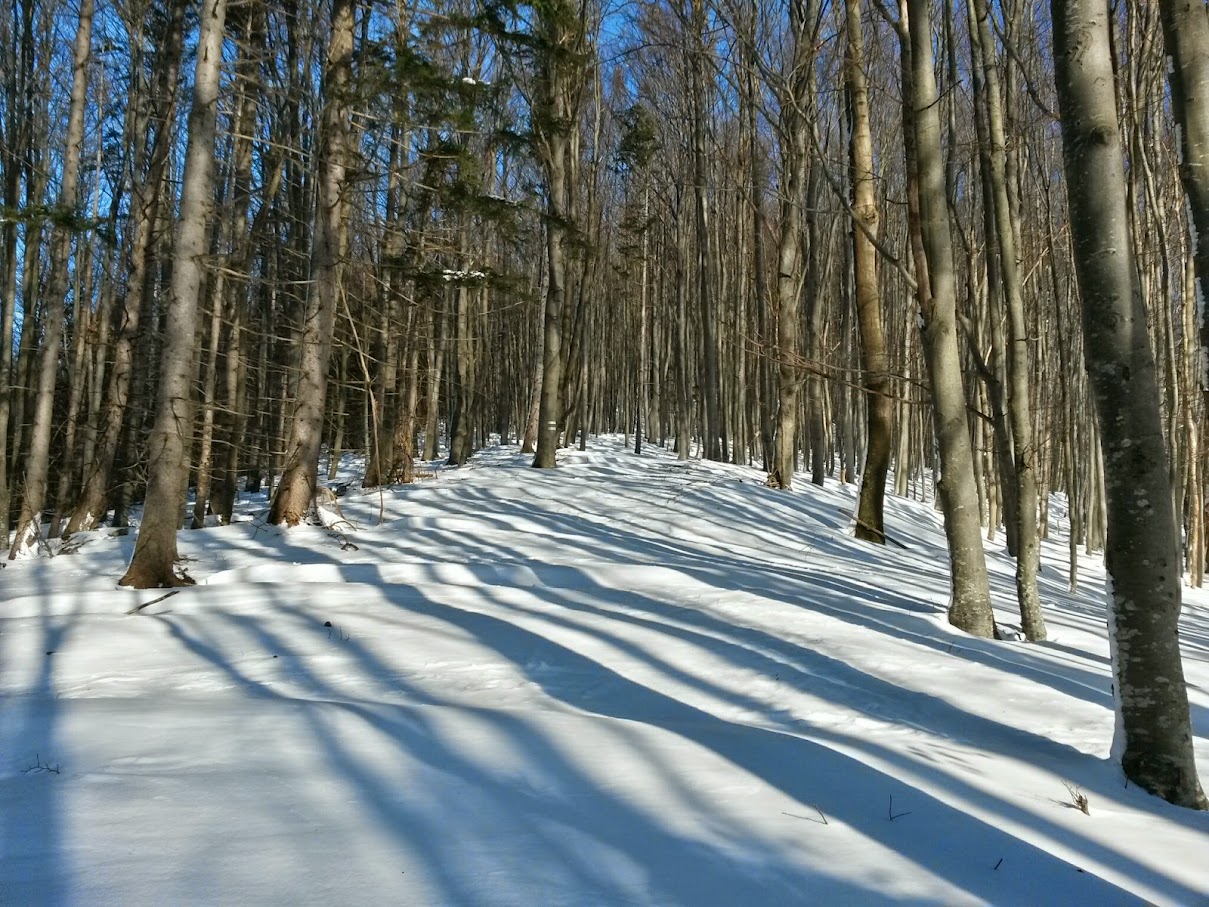 lh6.googleusercontent.com_-6oadnlwlazc_vmzluyhv-ii_aaaaaaaahkg_d-3rogebya_w1209-h907-no_20150131_103412_richtone_28hdr_29.jpg lh6.googleusercontent.com_-6oadnlwlazc_vmzluyhv-ii_aaaaaaaahkg_d-3rogebya_w1209-h907-no_20150131_103412_richtone_28hdr_29.jpg