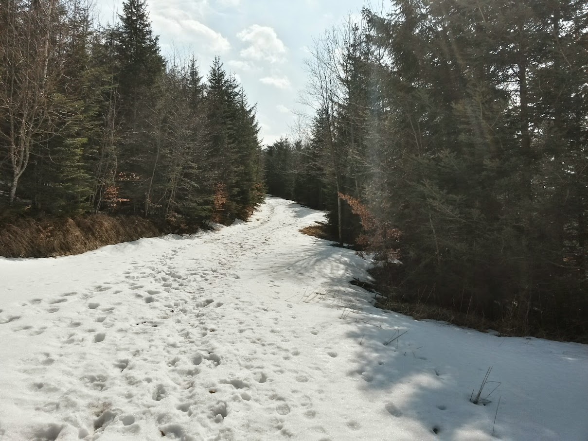 lh4.googleusercontent.com_-rv9mthh2nbe_vq2gerhllzi_aaaaaaaah_4_ozx3l4xl2fi_w1209-h907-no_20150321_123227_richtone_28hdr_29.jpg lh4.googleusercontent.com_-rv9mthh2nbe_vq2gerhllzi_aaaaaaaah_4_ozx3l4xl2fi_w1209-h907-no_20150321_123227_richtone_28hdr_29.jpg