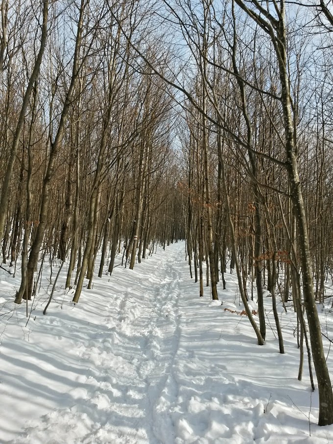 lh5.googleusercontent.com_-b5tx-g5r5ok_vnywqhxtk_i_aaaaaaaahrc_gicrmj-sb7k_w680-h907-no_20150207_101725_richtone_28hdr_29.jpg lh5.googleusercontent.com_-b5tx-g5r5ok_vnywqhxtk_i_aaaaaaaahrc_gicrmj-sb7k_w680-h907-no_20150207_101725_richtone_28hdr_29.jpg